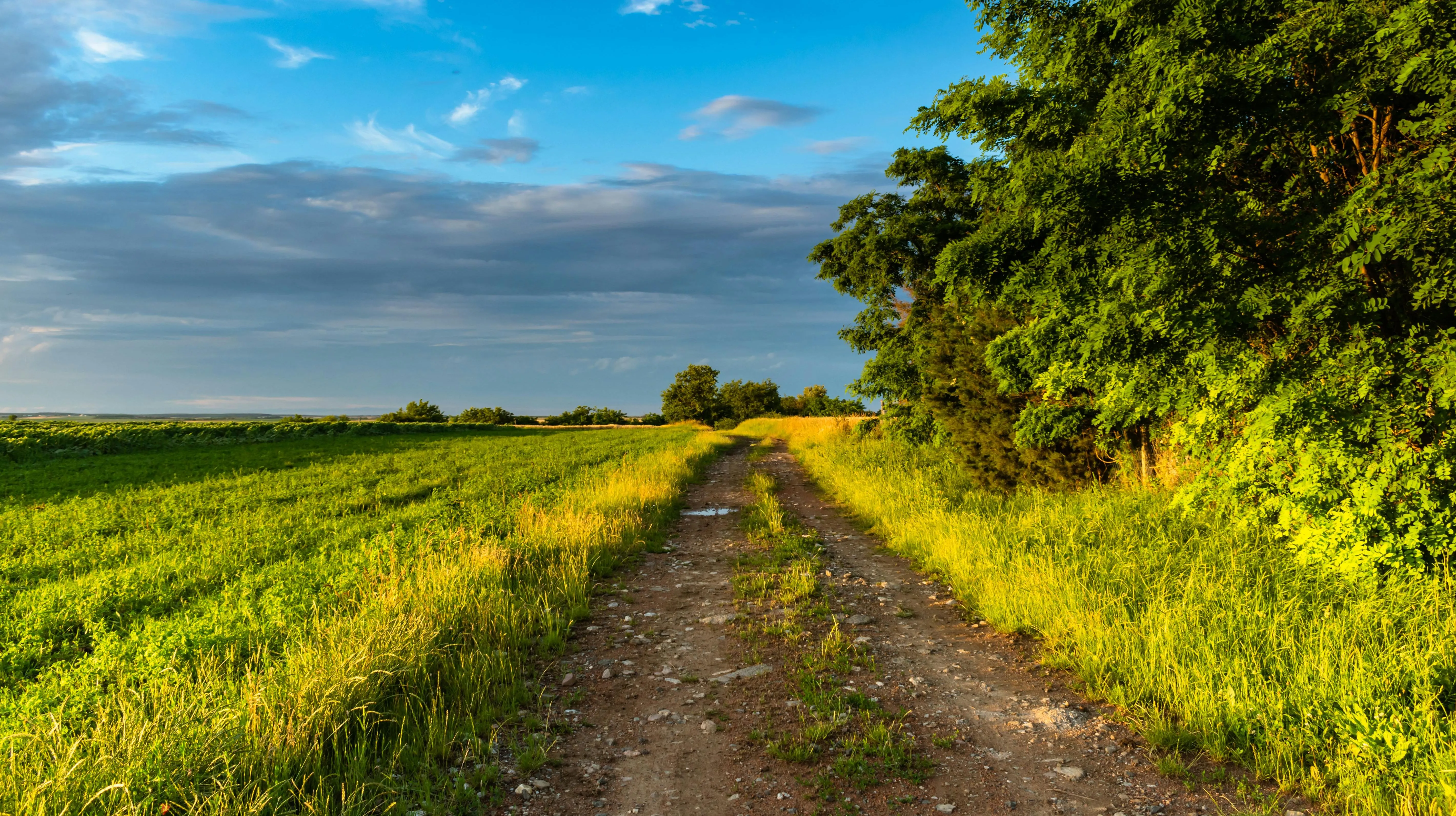 Agricoltura
