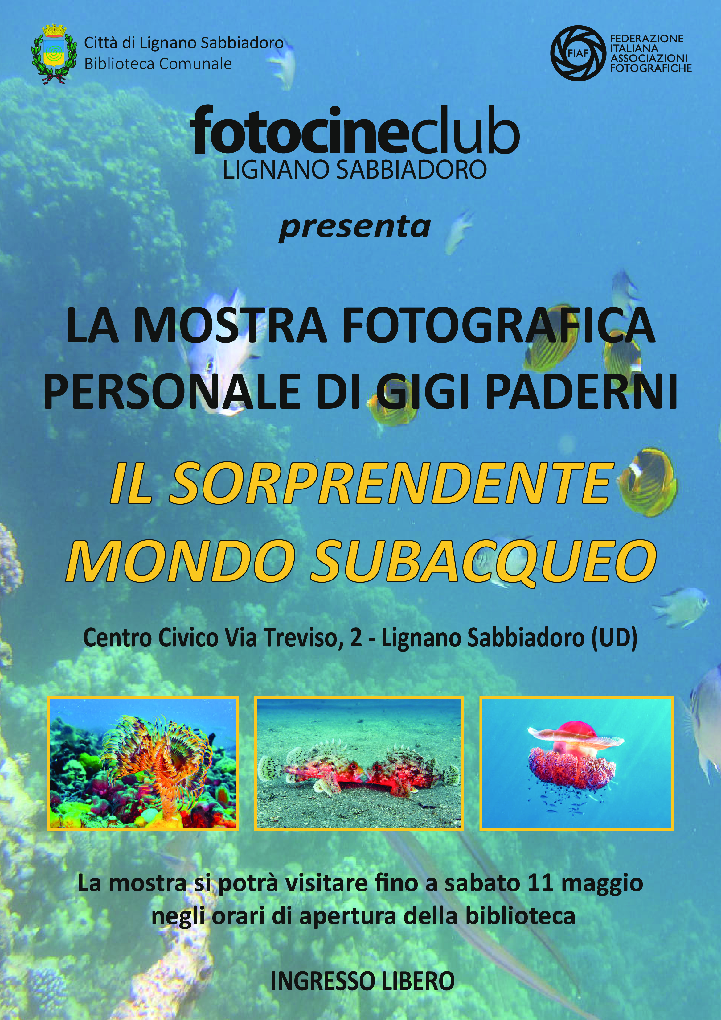 locandina-x-lif_compressed.webp